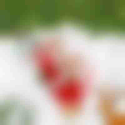 Катерещ се Дядо Коледа SANTACLIMB