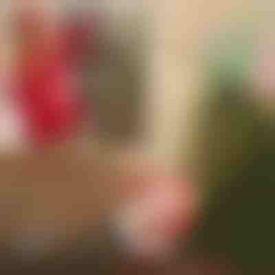 Дядо Коледа с парашут | SANTASWING