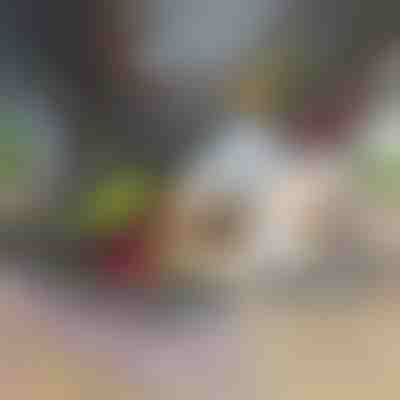 12 в 1 уред за рязане на зеленчуци | CHOPMASTER