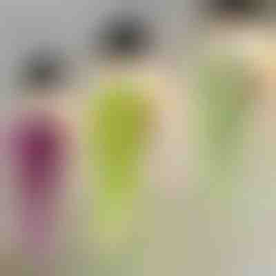 Декоративно растение с висулка | IVYORA