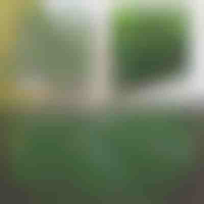 Декоративна и практична ограда за тераса и градина | GREENFENCE