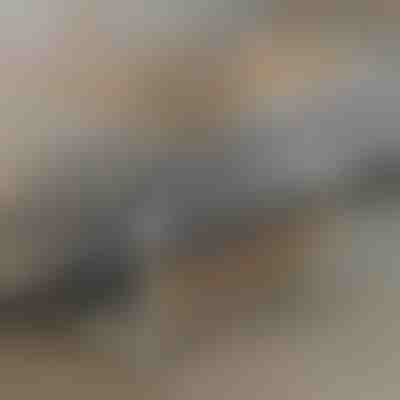 Преносима маса | EVOSTUL