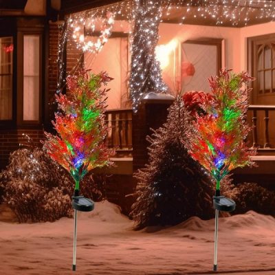 Слънчева светлина кипарисово дърво | CUPRESSUS